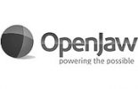 41_openjaw